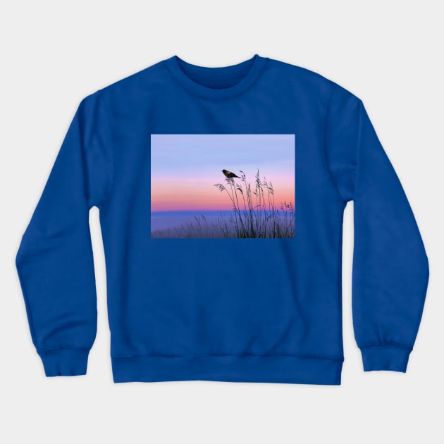 Red Winged Blackbird and Evening Sky Crewneck Sweatshirt by lauradyoung
